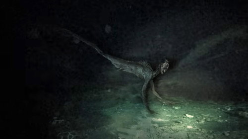 Mermaids still