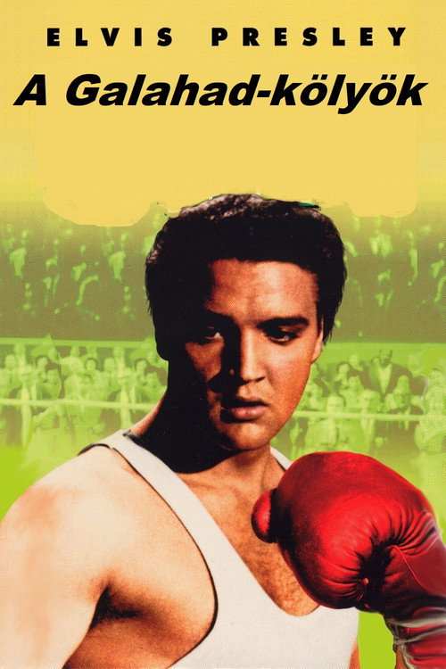 A Galahad-kölyök borító
