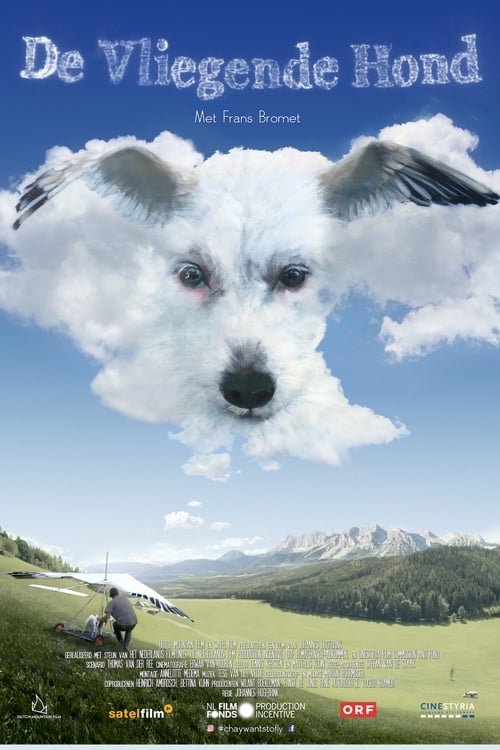 Grootschalige poster van De vliegende hond