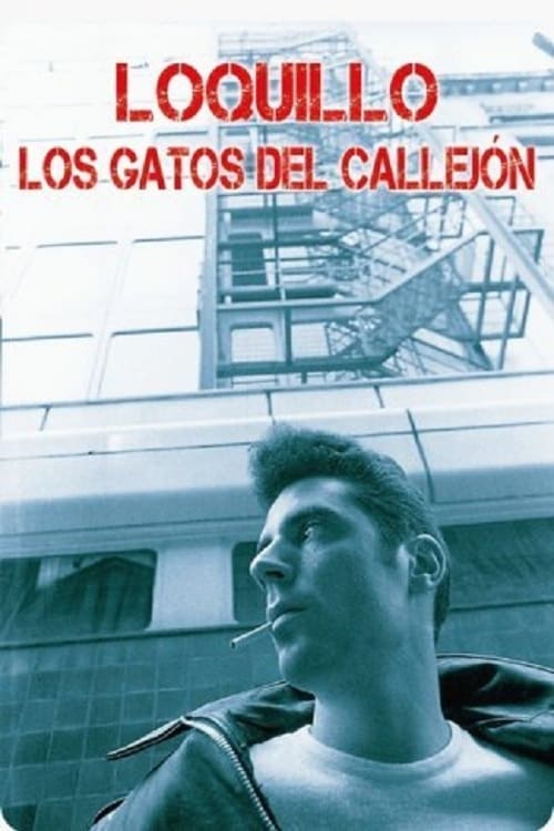 Los gatos del callejón (2013)