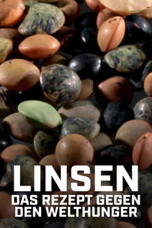 Linsen: Das Rezept gegen den Welthunger