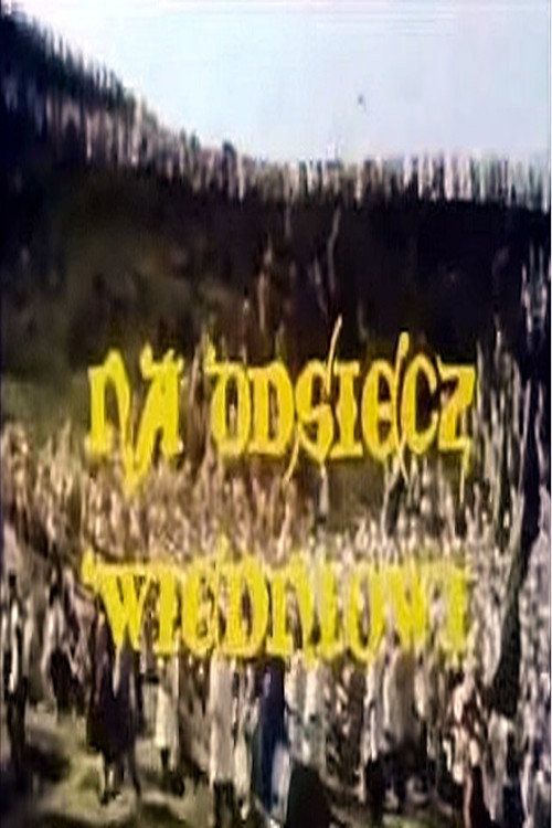 Na odsiecz Wiedniowi poster