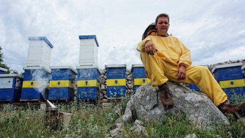 In the Balkans
