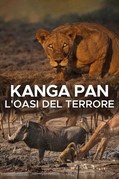 Kanga Pan: l'oasi del terrore