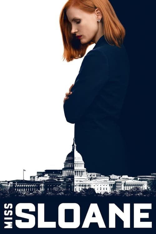 Grootschalige poster van Miss Sloane