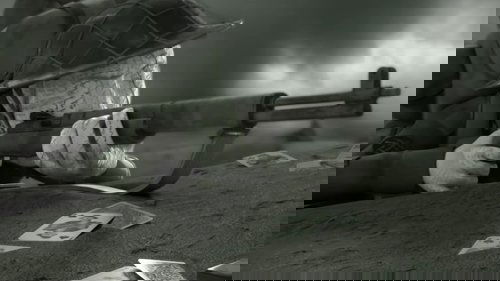 Beyond the lines image 3