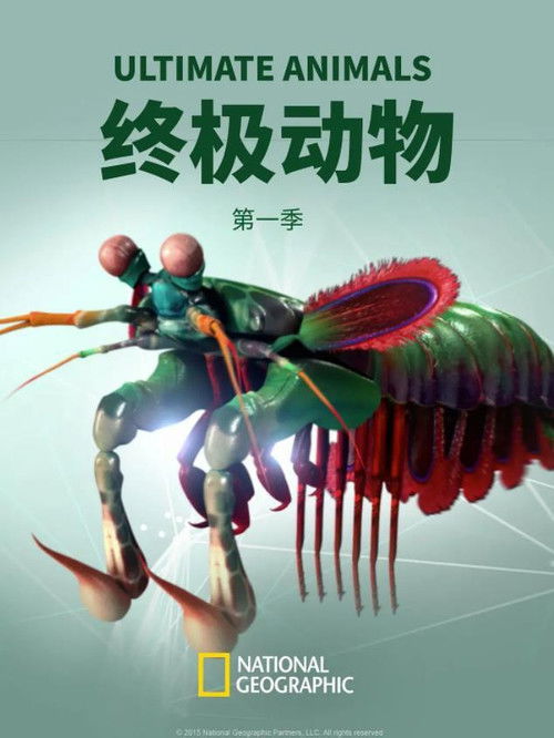 Ultimate Animals (2015) poster