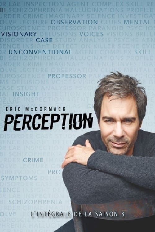 Perception, S03 - (2014)