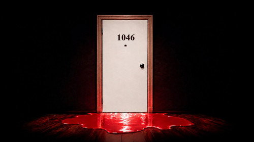 The Unsolved Murder in Room 1046