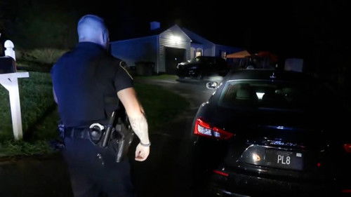 Hit-and-Run Suspect Search