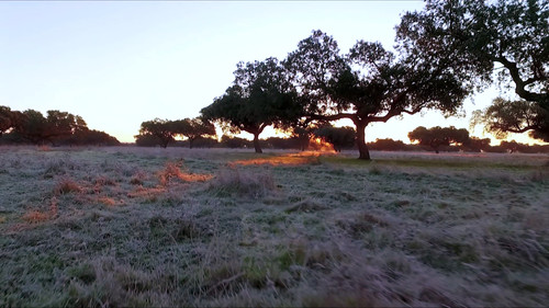 Un Invierno en el Sur Backdrop Blur