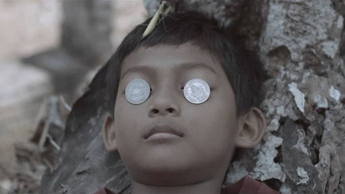 Ilalang Ingin Hilang Waktu Siang