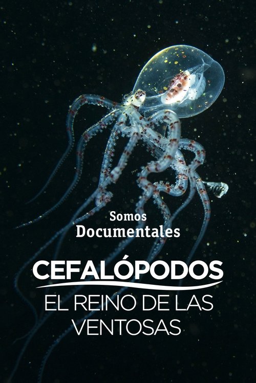 Cefalópodos, el reino de las ventosas Cefalópodos, el reino de las ventosas