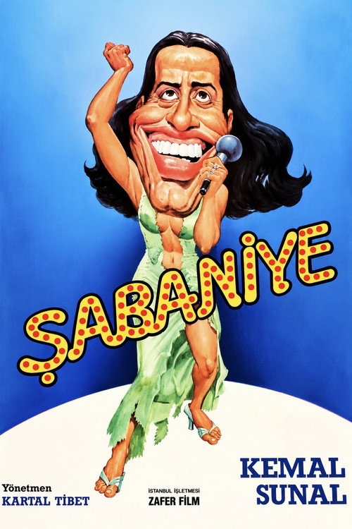 Affiche de Şabaniye