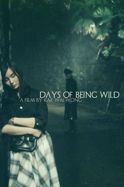 Days of Being Wild poster