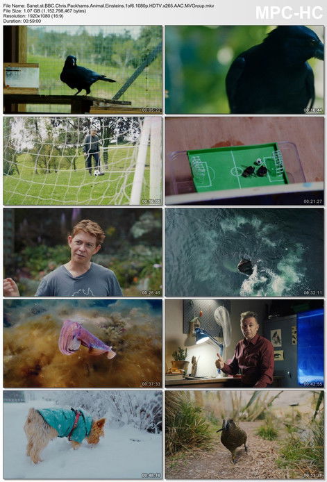 Escena 3 de Animal Einsteins