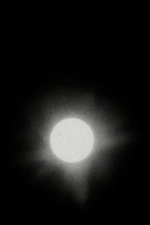 Transit of Venus movie poster player