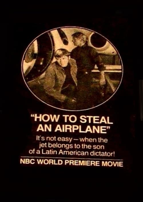 How to Steal an Airplane Movie Poster Image