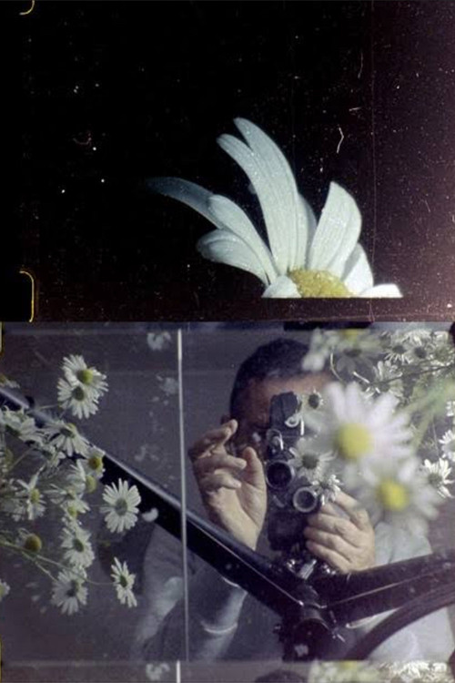 Pòster de My Hand Outstretched to the Winged Distance and Sightless Measure