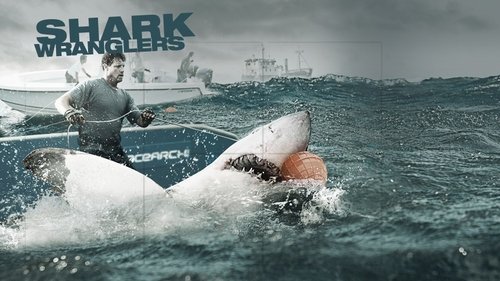 Shark Wranglers