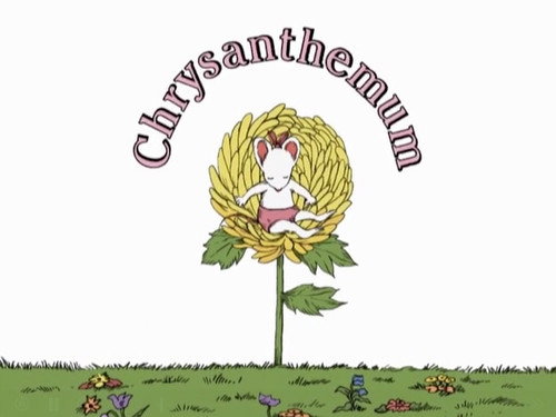 Chrysanthemum