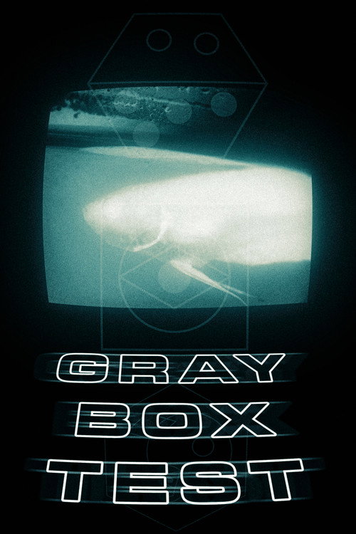 Grey Box Test