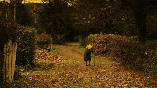 The Double Life of Véronique