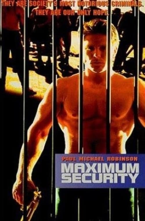 Maximum Security poster