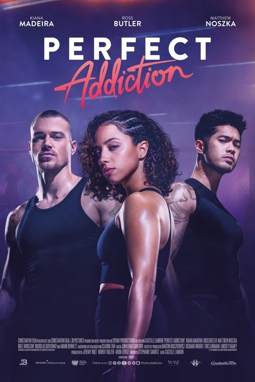 Perfect Addiction poster