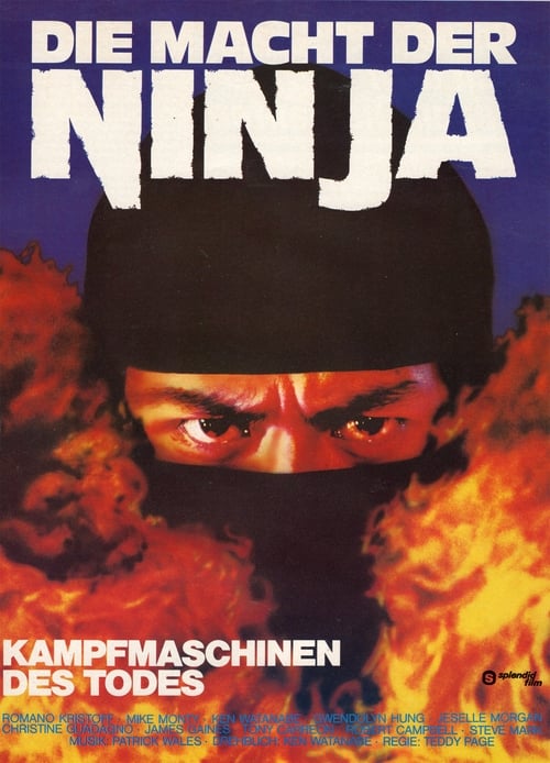 Ninja's Force (1984)