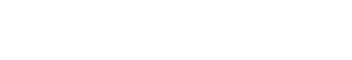 Anatomia de um Escândalo - Logo 4