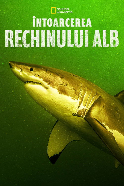 Return of the White Shark poster