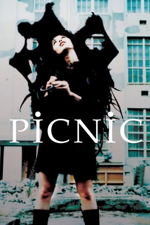 PiCNiC (1996) poster