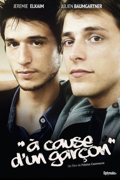 À cause d'un garçon movie poster player