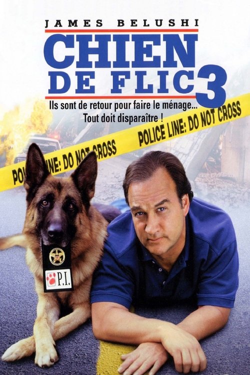 Chien de flic 3 movie poster player