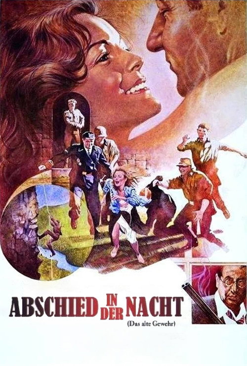 The Old Gun poster