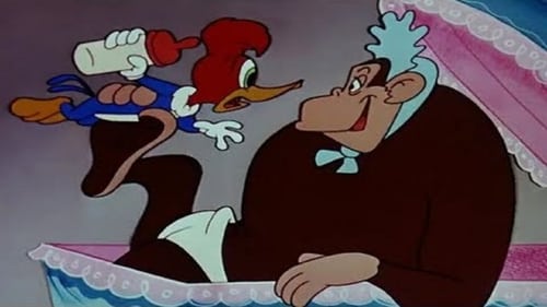 Poster della serie The Woody Woodpecker Show