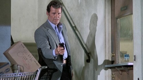 Poster della serie The Rockford Files