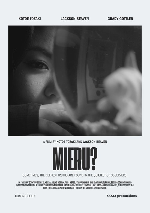 Can you see me? poster