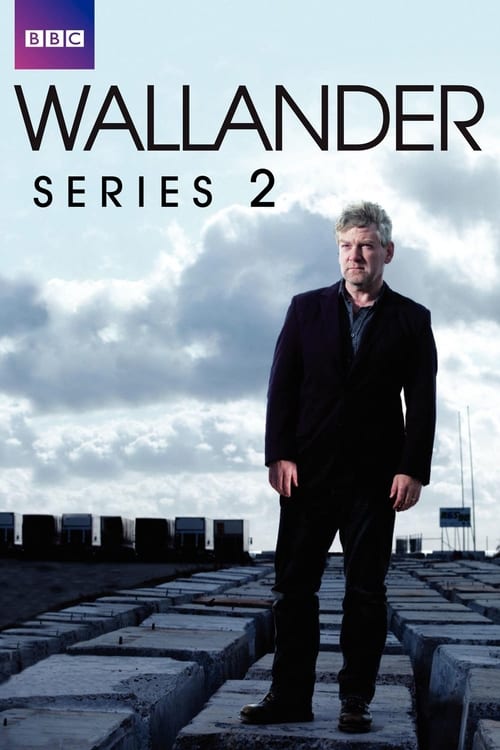 Where to stream Wallander Season 2