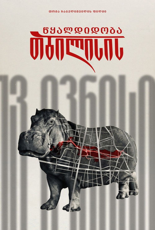 Poster de თბილისის წყალდიდობა
