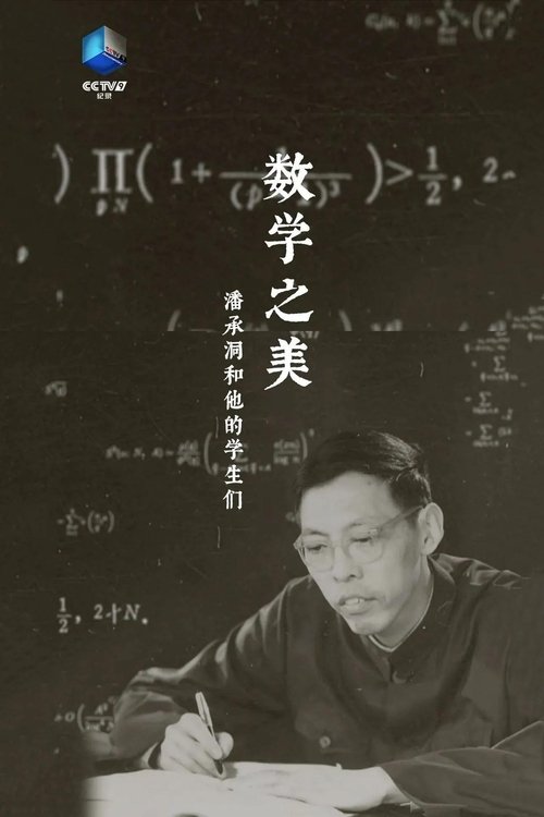 数学之美 (2025) poster