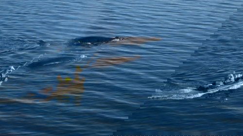 Image de l'épisode 6