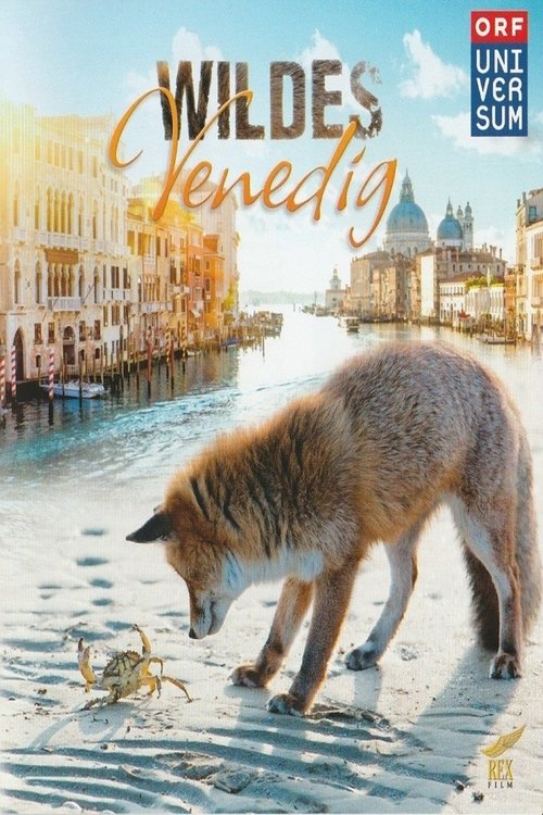 Wildes Venedig movie poster player