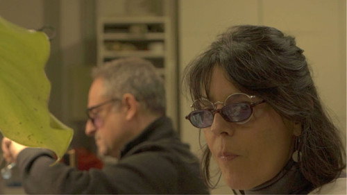 Los Vidrieros de Sevilla