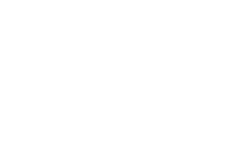 Compañera perfecta