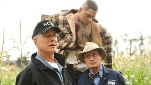 NCIS: Investigação Naval: 7×9