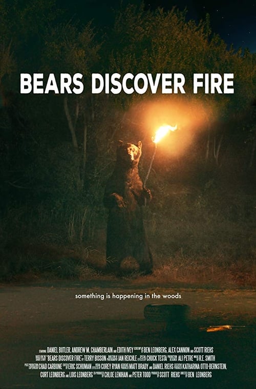 Bears Discover Fire (2015) poster