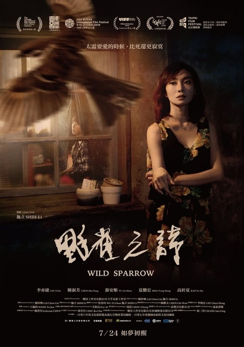 Wild Sparrow 2020