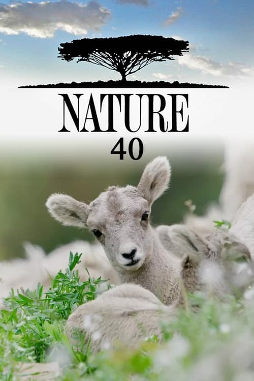 Póster de la temporada 40 de la serie Nature